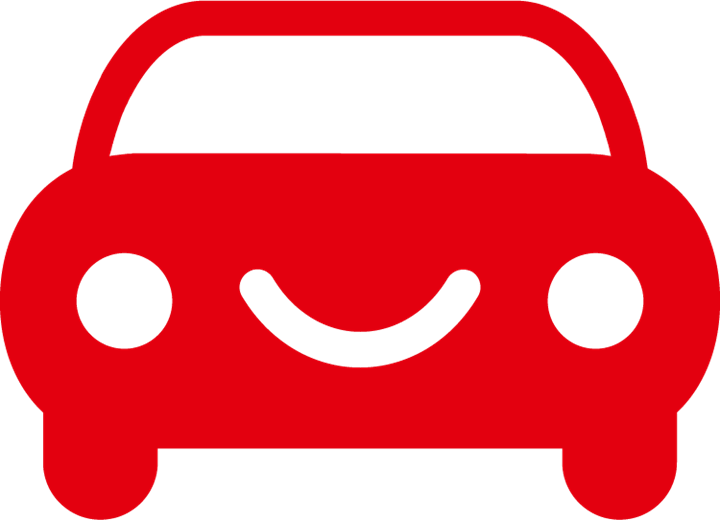 Alle biltyper, benzin, diesel, hybrid og el-biler kan behandles med PAVA lyddæmpningen